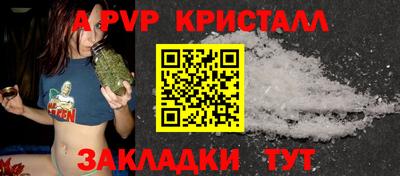 гидра Кингисепп