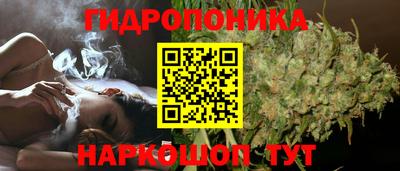 гидра Кингисепп