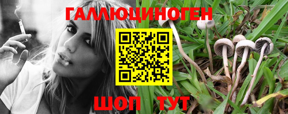Псилоцибиновые грибы Magic Shrooms Кубинка