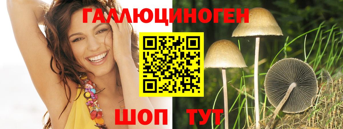 Псилоцибиновые грибы GOLDEN TEACHER  Вход с VPN  Кубинка 